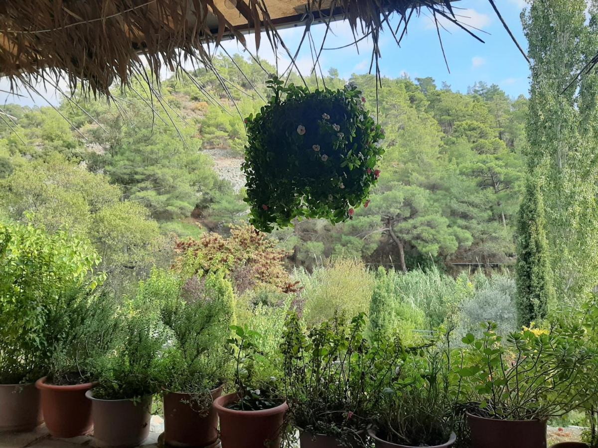 Blue Cottage Apsiou Dış mekan fotoğraf